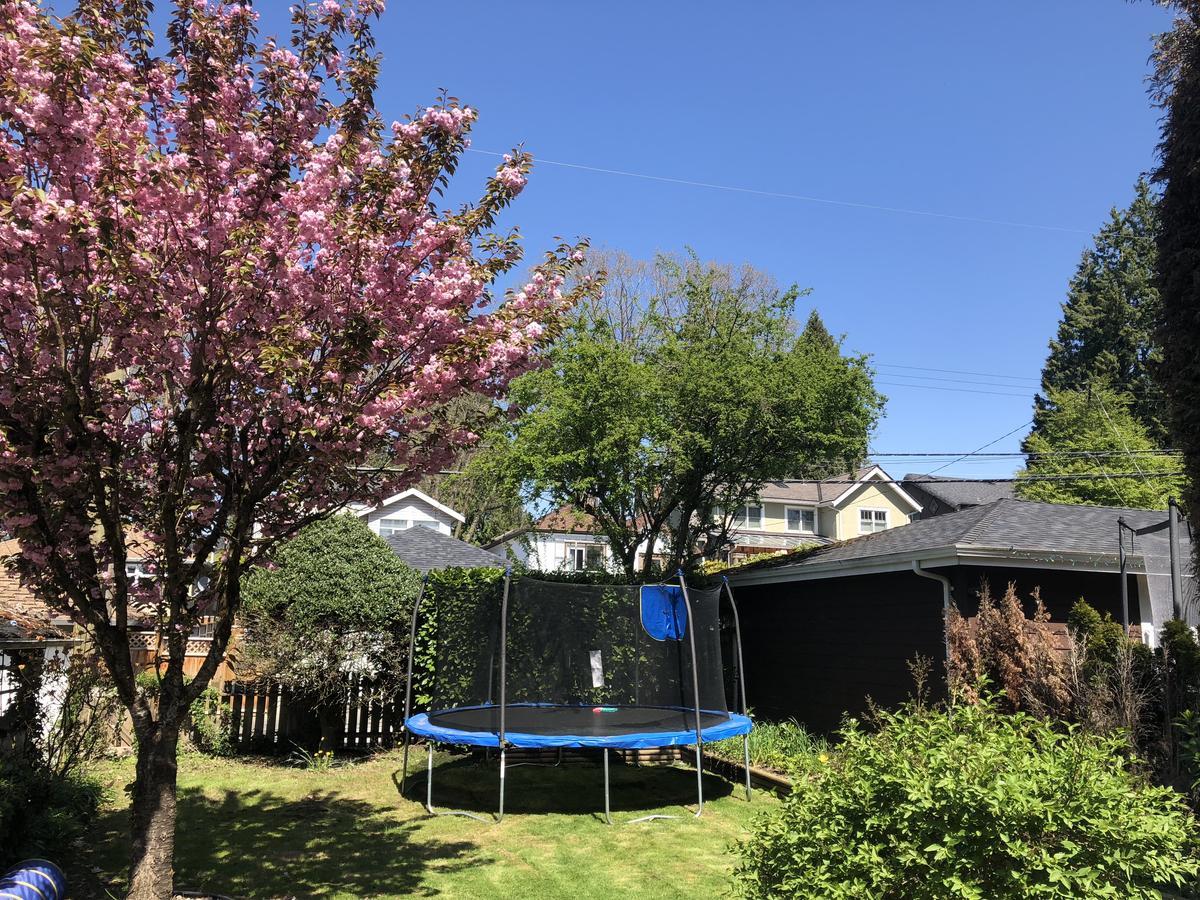 לינה וארוחת בוקר וונקובר The Sunshine House-Free Parking מראה חיצוני תמונה
