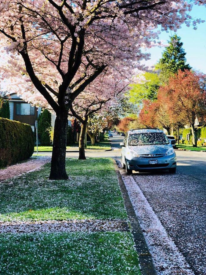 לינה וארוחת בוקר וונקובר The Sunshine House-Free Parking מראה חיצוני תמונה